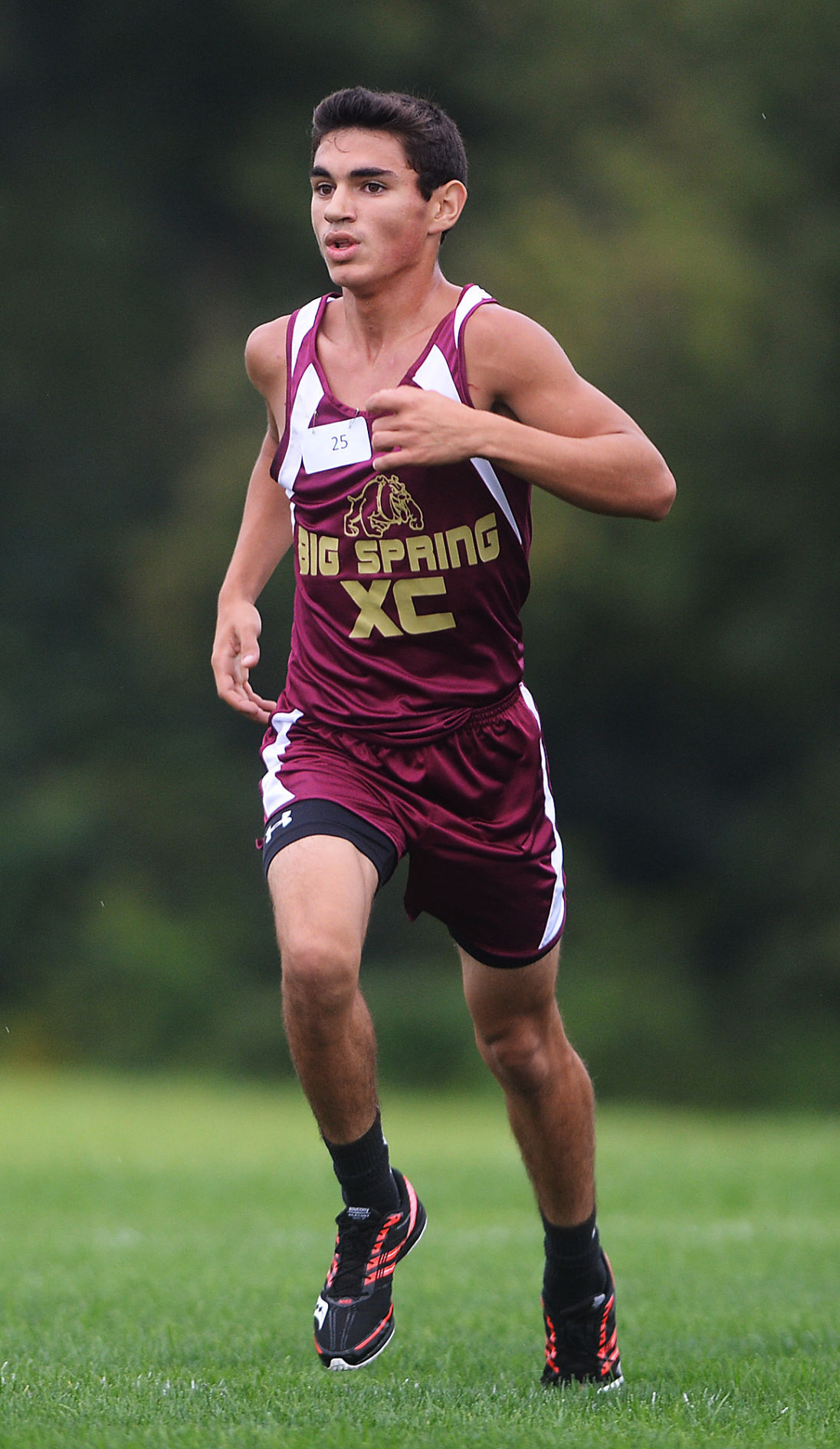 Cross Country: Boiling Springs, Greencastle at Big Spring